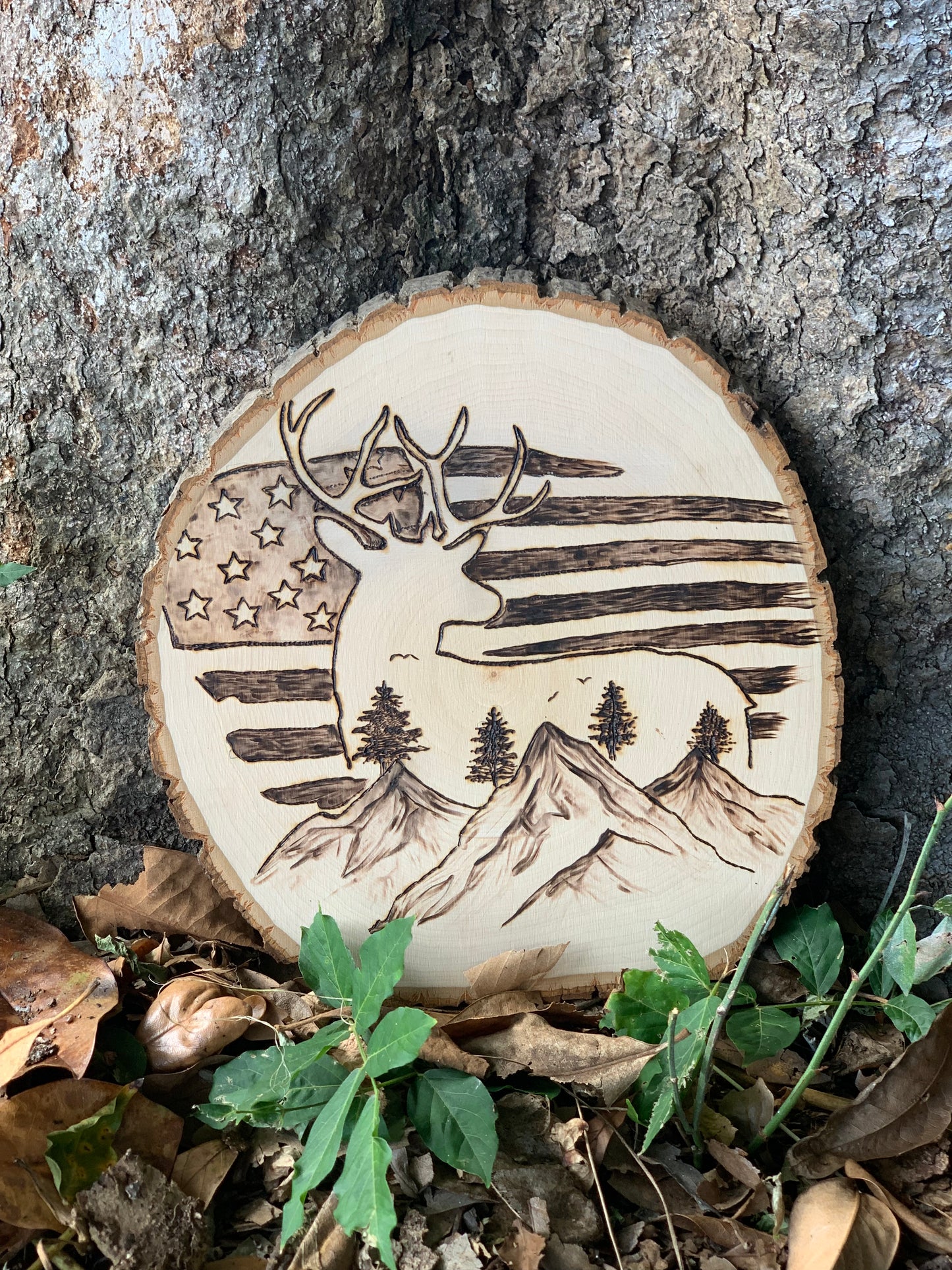 Deer and flag plaque