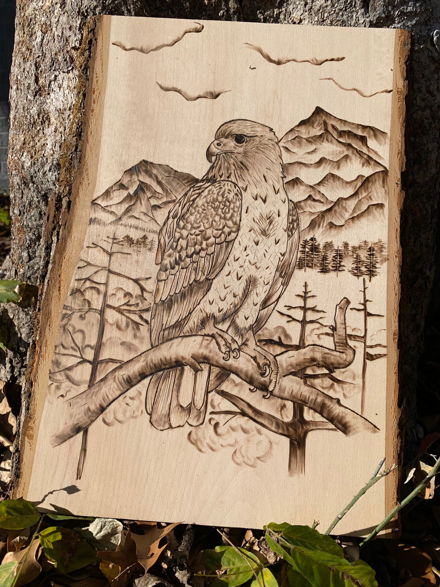 Captivating hawk pyrography