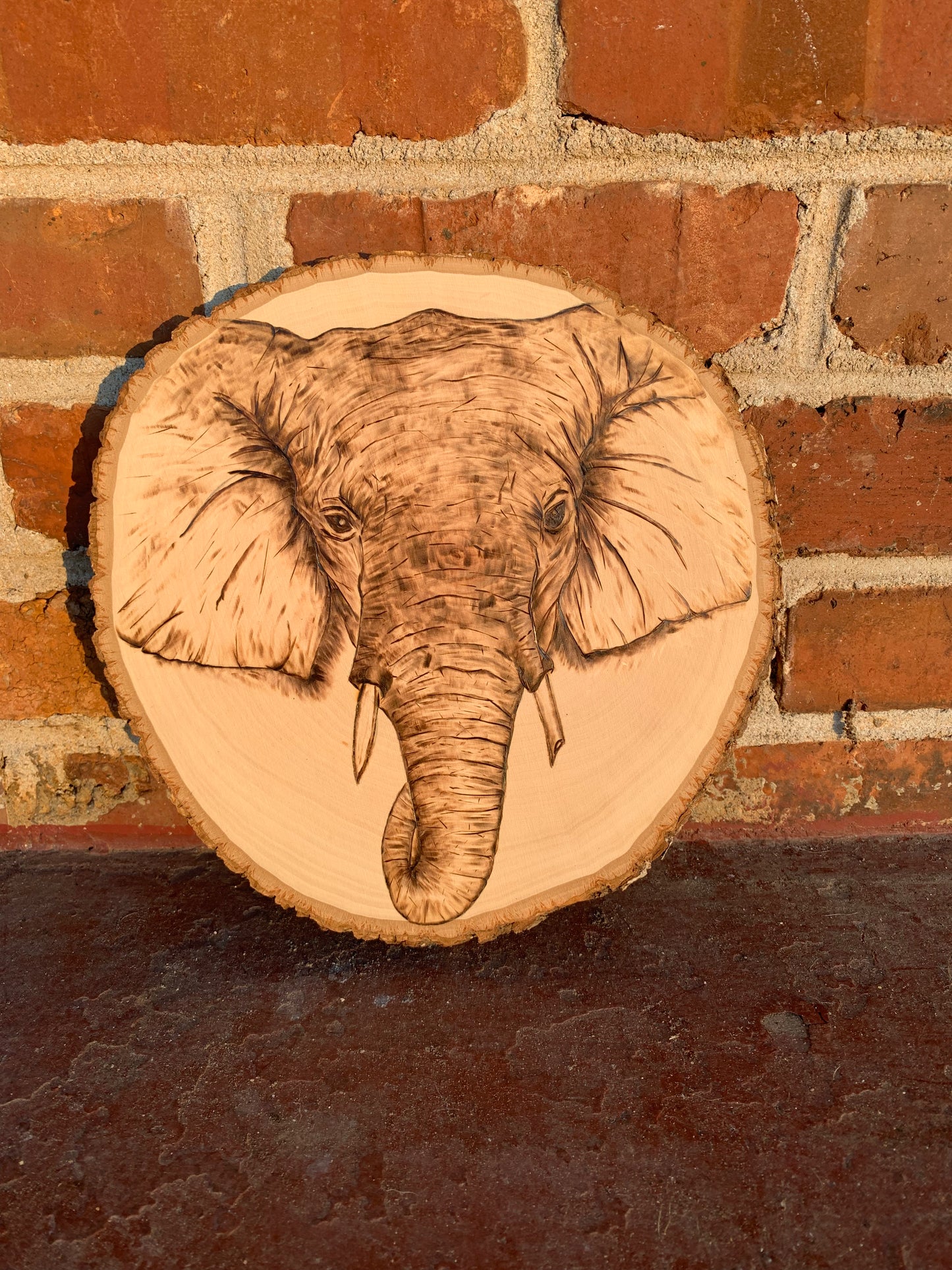 Elephant Pyrography