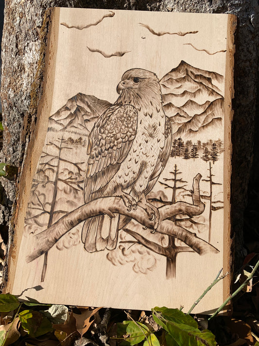 Captivating hawk pyrography