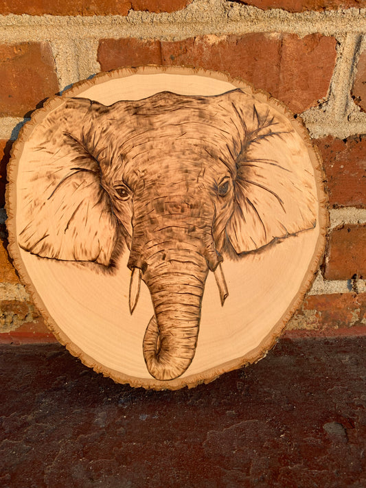 Elephant Pyrography